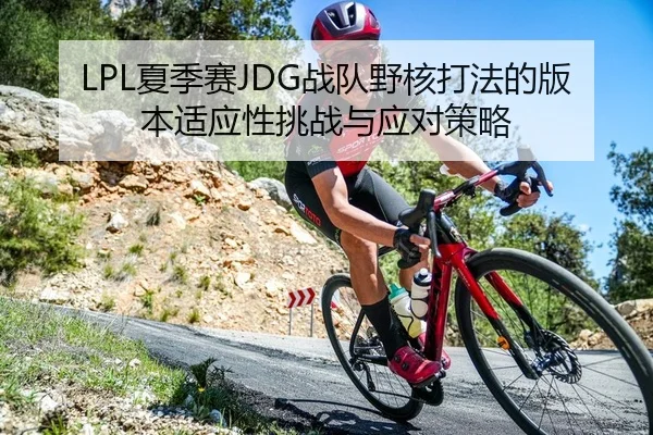 LPL夏季赛JDG战队野核打法的版本适应性挑战与应对策略